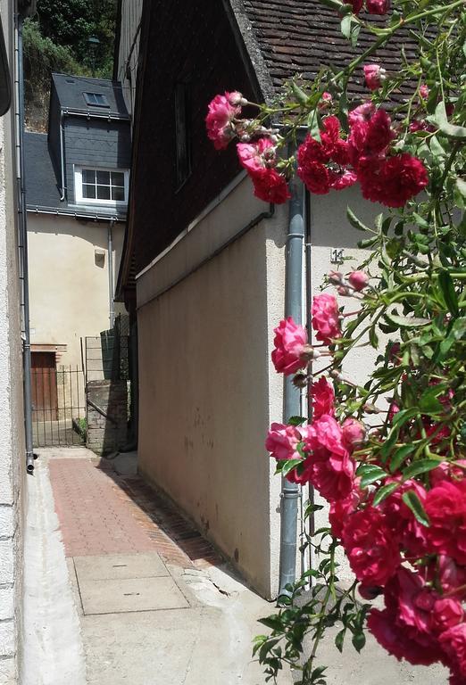 La Petite Lucette Villa Amboise Exterior foto